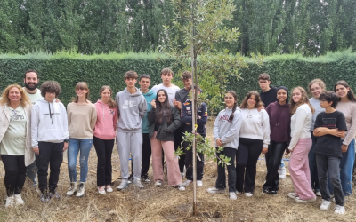 Jornada de Cohesión Interetapa